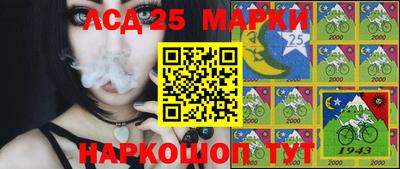 тгк Можга