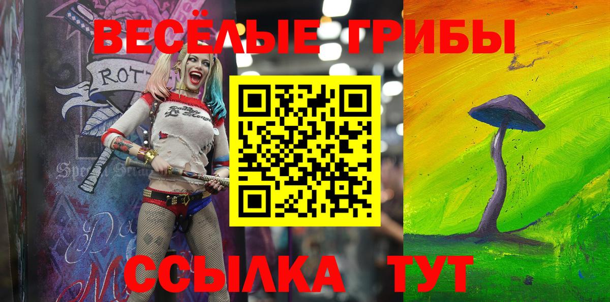 Галлюциногенные грибы Cubensis Тихвин