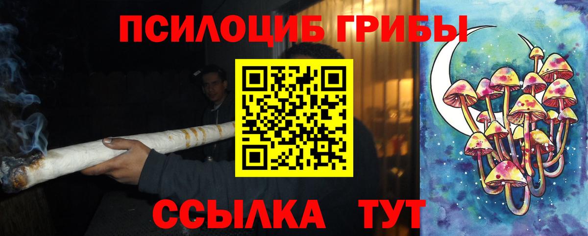 Тихвин  Псилоцибиновые грибы Psilocybe  Галлюциногенные грибы Cubensis  Вход с VPN 
